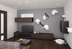 キャットウォーク